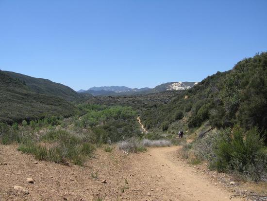 trail
