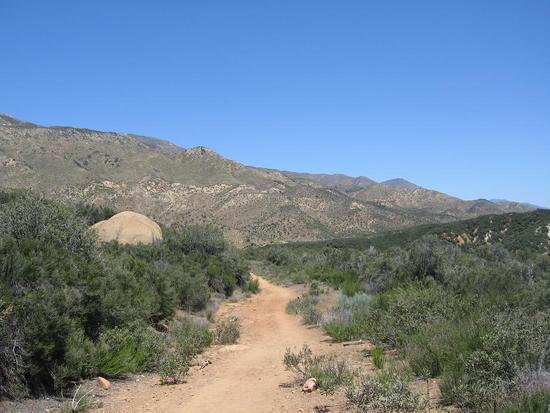 Trail