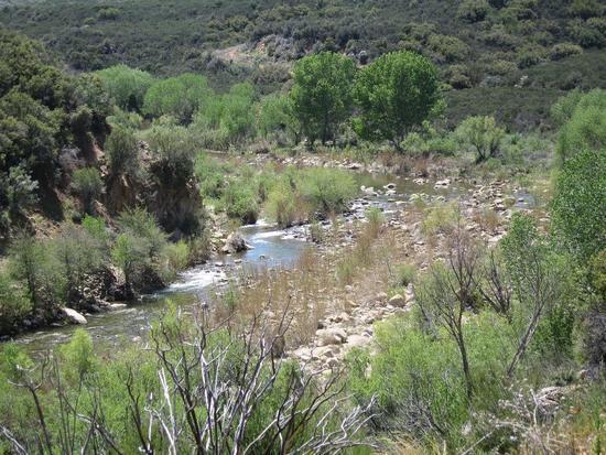 Sespe Creek