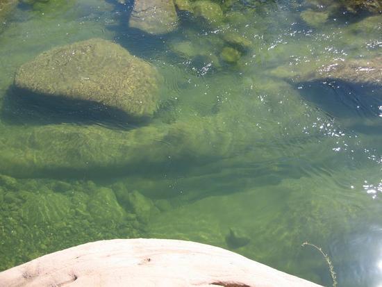 Deep Water at the swimming hole