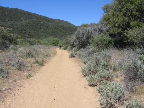 Trail