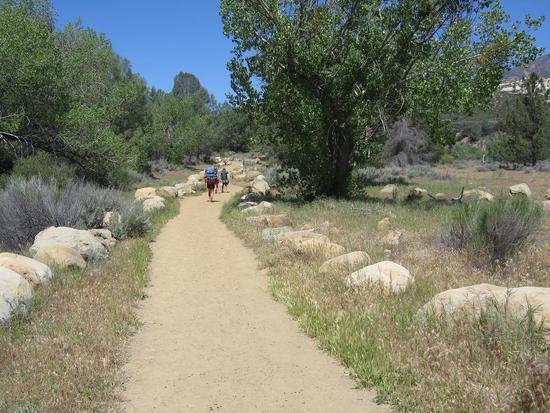 Trail