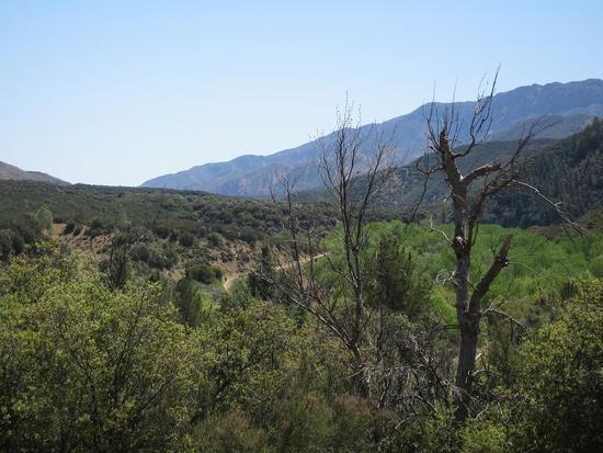 one last look back at the hills before driving home