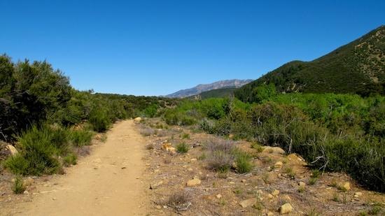 trail 2