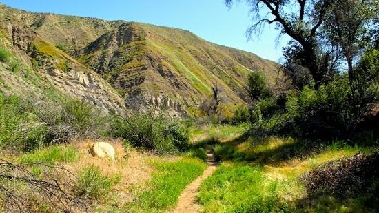 trail 3