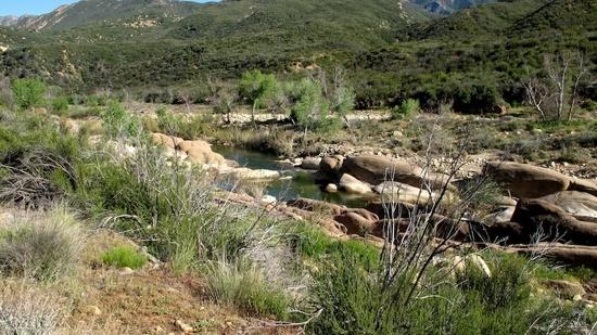 sespe swimming hole