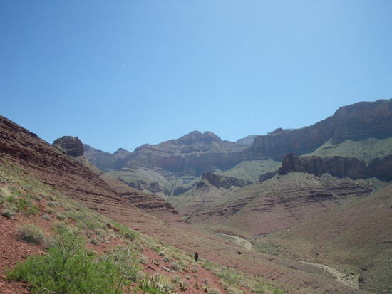 nt