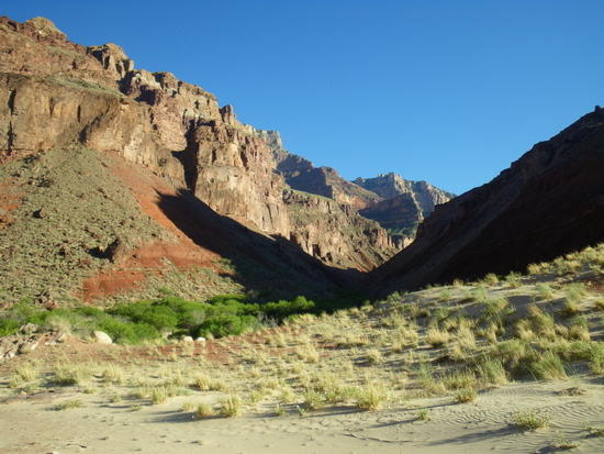 nt