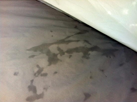 Sputnik 2P floor, condensation