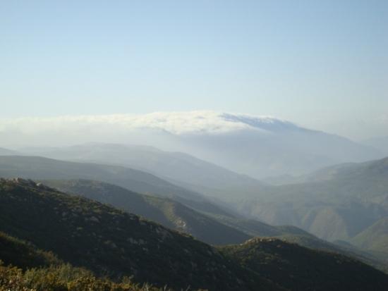 Marine Layer