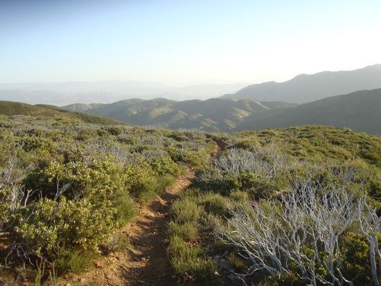 Near Mason Valley Truck Trail looking Towards Rodriguez