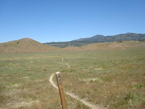 Rolling hills near Warner