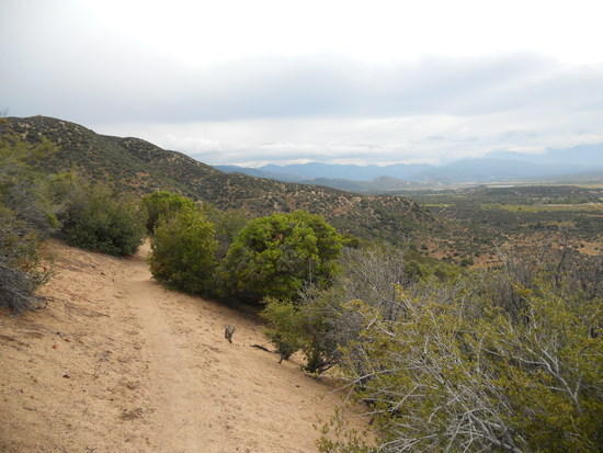 Chapparal hills