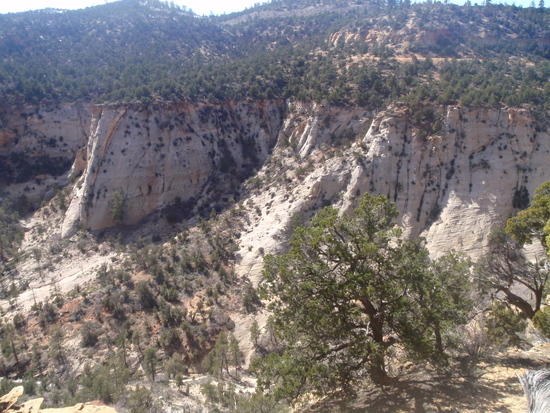 Looking across Jolley Gulch