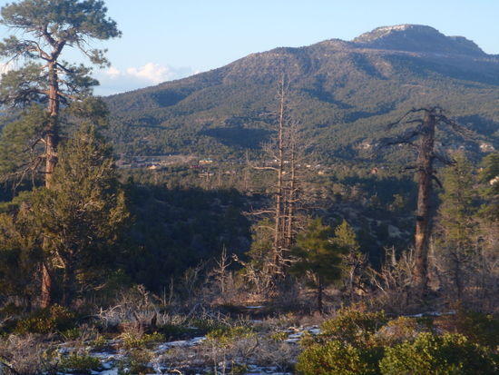 Ponderosa Resort