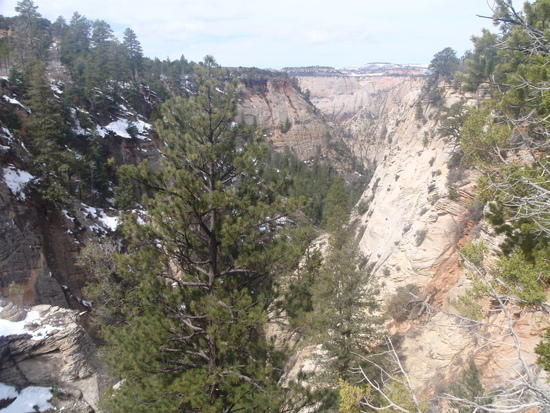 Looking west toward Zion Canyon