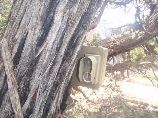 Self-triggering camera