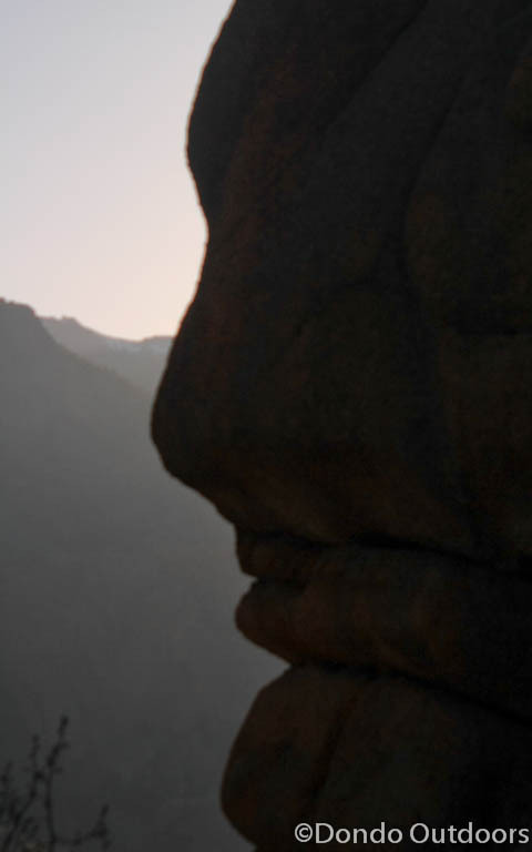 Sentinel