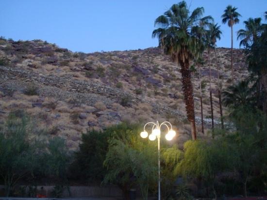 Pic 1