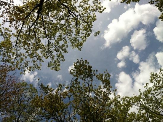 Sky above Middle Mountain