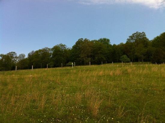 High meadows below the Stamp