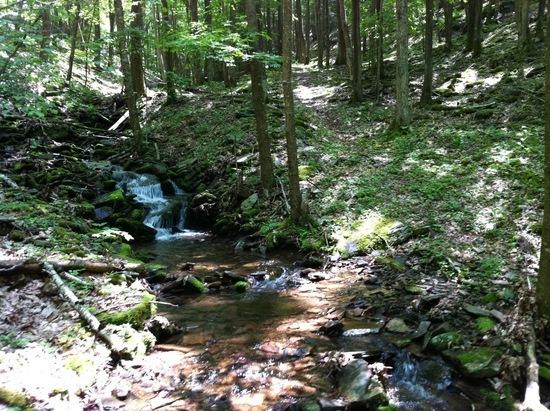 Crossing of Cold Spring Run