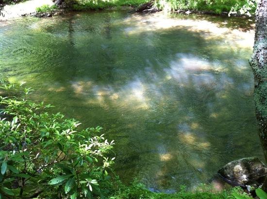 Swimming hole on Laurel Fork