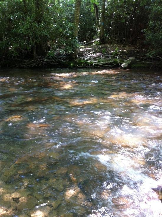 Ford of Laurel Fork at Buck Run