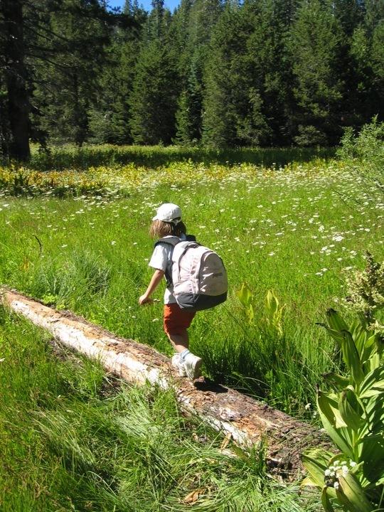 Annika meadow crossing