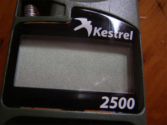 kestrel after