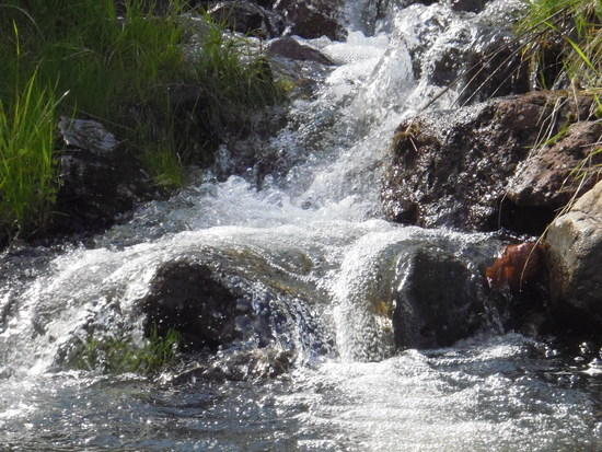 a more mellow Hells Canyon creek