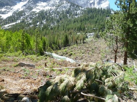 Avalanche aftermath