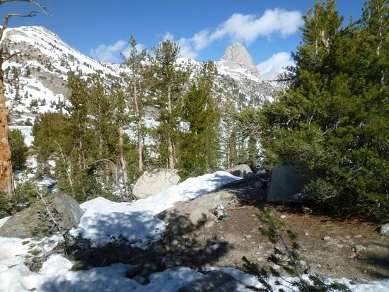Rea Lakes Camp with lake behind trees