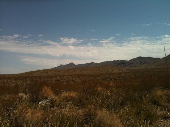 Blue skies