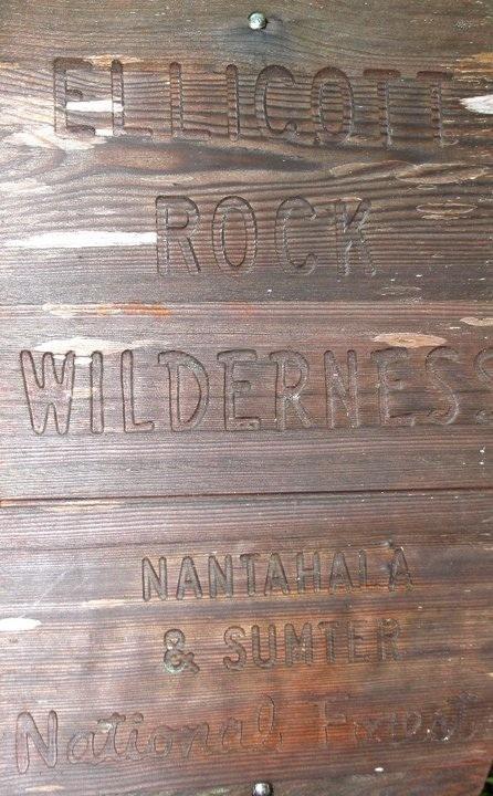 The majority of the hike was in this wilderness.