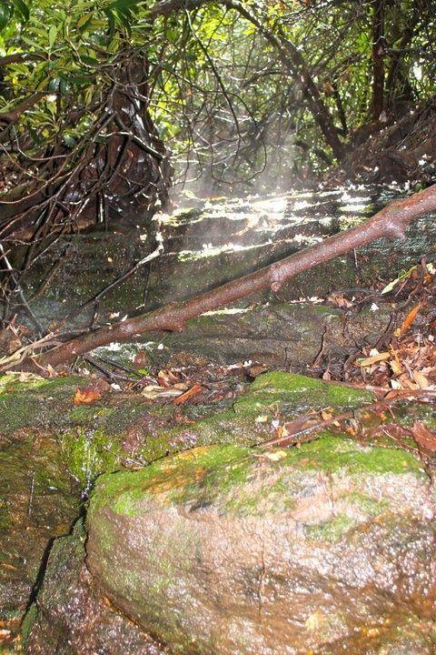 Creek and Sunlight