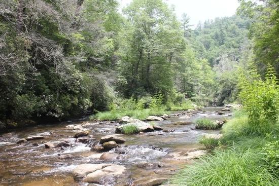 Chattooga River