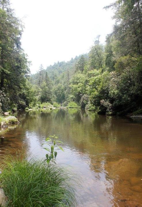 Chattooga River 1