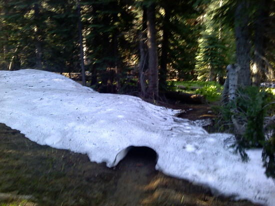 more snow