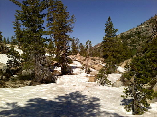 more and more snow