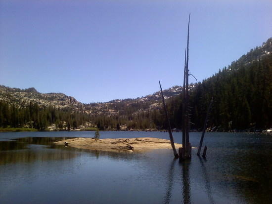 purty