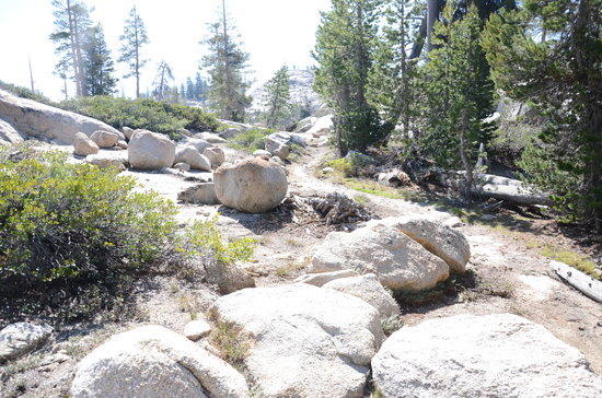 trail6