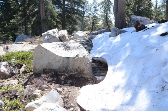 trail7