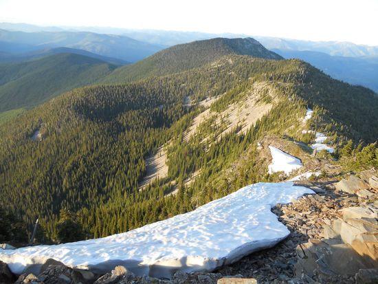 Abercrombie hooknose ridge