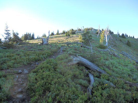 Abercrombie summit ridge