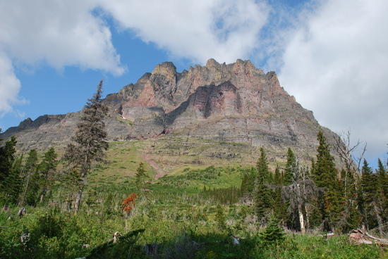 view