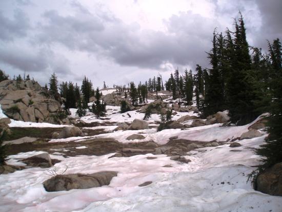 trail above whitesides