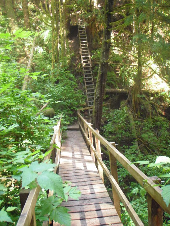 southern ladder structure