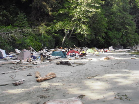 Beach scene at Thrasher Cove