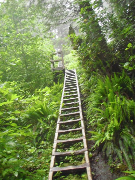 A long climb